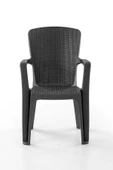 Evdemo Side 2'li Rattan Sandalye Siyah thumbnail 2