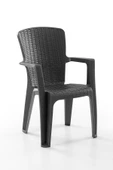 Evdemo Side 2'li Rattan Sandalye Siyah thumbnail 3
