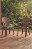 Evdemo Side 2'li Rattan Sandalye Cappuccino thumbnail 1