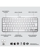Logitech 920-010504 Mx Keys Kablosuz Klavye (Mac İçin Özel) thumbnail 4