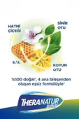 Theranatur Bitkisel Şurup 128 gr x 3 Adet thumbnail 3