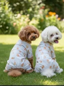 Bejjy Pamuklu Köpek Tulum Pijama thumbnail 6