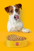 Biscrok Köpek Ödül Bisküvisi 500 G 2x thumbnail 3