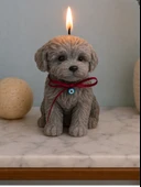 Zensori Sevimli Köpek Mum thumbnail 1