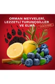Old Spice Stıck Bearglove 50 ml thumbnail 5
