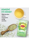 Lipton Rezene Bitki Çayı 20'li Bardak Poşet 40 gr thumbnail 6