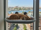 Vantuzlu Kedi Pencere Hamağı thumbnail 8