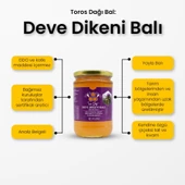 Toros Dağı Deve Dikeni Çiçek Balı 860 g e thumbnail 2