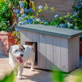 Ferplast Argo 60 Ahşap Köpek Kulübesi thumbnail 3