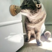 Kedi Nanesi Oyun Topu thumbnail 3