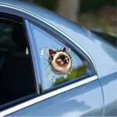 Fulcar Siamesse Araç Stickerı thumbnail 1