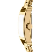 Dkny DK1L004M0055 Bayan Kol Saati thumbnail 2