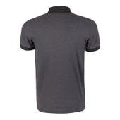 Evolite DeepRaw Erkek Polo T-Shirt- Antrasit thumbnail 4