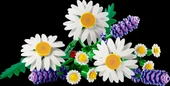 Lego Botanical Collection Daisies 11508 thumbnail 2