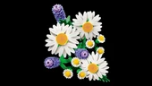 Lego Botanical Collection Daisies 11508 thumbnail 3