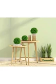 Dekoratif Top Şimşir 28 Cm thumbnail 2