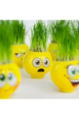 İthalat Emoji Kafa 1 adet Çılgın Çim Adam thumbnail 1