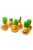 İthalat Emoji Kafa 1 adet Çılgın Çim Adam thumbnail 4