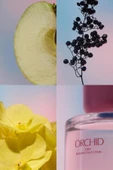 Zara Orchid Edp 90 ml Kadın Parfüm thumbnail 4