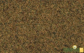 Tetra Pro Algae Crisps Otçul Balık Yemi - 12GR thumbnail 2