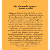Rebul Lavanda Edc 250 Ml Kolonya thumbnail 4