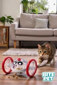 bite pet PatiRoll thumbnail 1