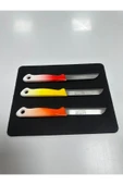 Solingen Slg-21 3.lü Eco Ebruli Meyve Bıçağı thumbnail 4