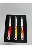 Solingen Slg-21 3.lü Eco Ebruli Meyve Bıçağı thumbnail 3