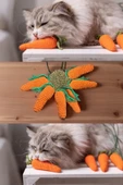 bite pet HAVUÇ ŞEKİLLİ KEDİ NANELİ OYUNCAK thumbnail 3