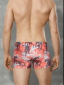 DOREANSE EXOTIGER ERKEK BOXER thumbnail 4