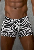 DORENSA ERKEK BOXER thumbnail 2