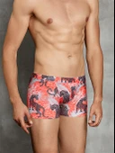 DOREANSE EXOTIGER ERKEK BOXER thumbnail 1