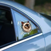 Fulcar Siamesse Araç Stickerı thumbnail 1