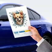Fulcar Chiuahua Araç Stickerı thumbnail 3