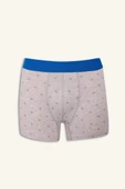 Defacto G4673AXBE103 Mavi Regular Fit Baskılı 3'lü Boxer thumbnail 5