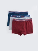 LCW Kids Bordo Basic Pamuklu Erkek Çocuk Boxer 3'lü thumbnail 1