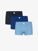 LCW Kids Lacivert Basic Erkek Çocuk Boxer 3'lü thumbnail 1