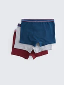 LCW Kids Bordo Basic Pamuklu Erkek Çocuk Boxer 3'lü thumbnail 2