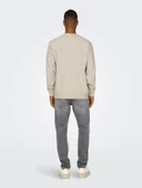 22030923 ONSCURATED REG CREW NECK SWEAT NOOS thumbnail 12