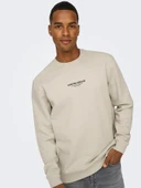 22030923 ONSCURATED REG CREW NECK SWEAT NOOS thumbnail 3