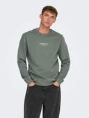 22030923 ONSCURATED REG CREW NECK SWEAT NOOS thumbnail 7