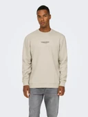22030923 ONSCURATED REG CREW NECK SWEAT NOOS thumbnail 1