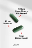 OCEAN PANAX GINSENG 500 MG 60 KAP thumbnail 3