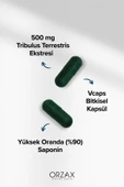 OCEAN TRIBULUS TERRESTRIS 500 MG 60 CAP. thumbnail 3