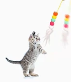 Elastik Kendinden Yapışkanlı Solucan Kedi Oltası thumbnail 4