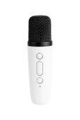 Prozone Karaoke Mikrofonlu Bluetooth Hoparlör thumbnail 3