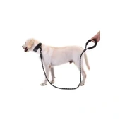HERŞEYTREND Reflektörlü Köpek Tasması 130 Cm. thumbnail 2