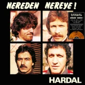 Hardal Nereden Nereye Renkli Baskı -  Plak thumbnail 1