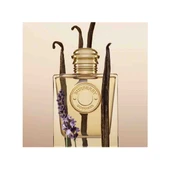 BURBERRY Goddess Edp 100 ml Kadın Parfüm thumbnail 2