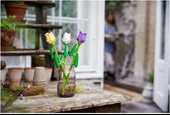 Lego Seasonal 40461 Tulips thumbnail 3